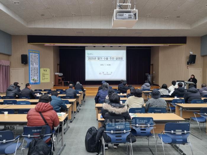 [크기변환]농업정책과)청도군,‘딸기’해외 수출 활성화를 위한 설명회 개최.jpg
