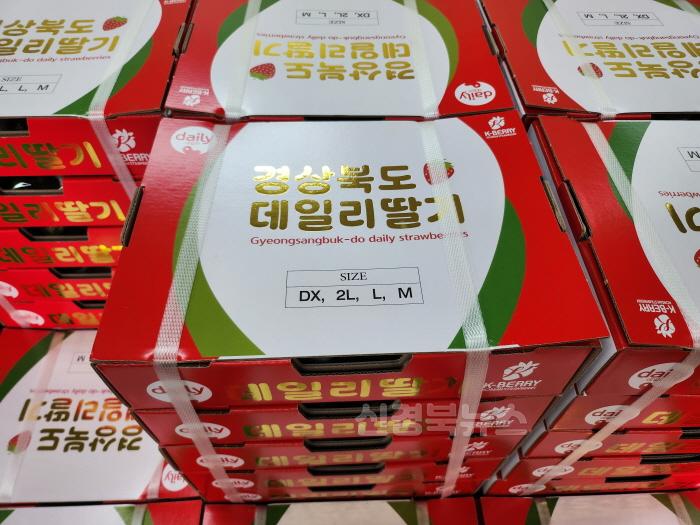 [크기변환]01.15-4 보도자료(고령딸기 daily 첫 수출)(2).jpg