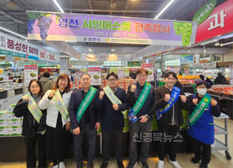 8 [사진] 설연휴 앞두고 ‘영천 샤인머스켓’ 깜짝 판매로 인기.jpg