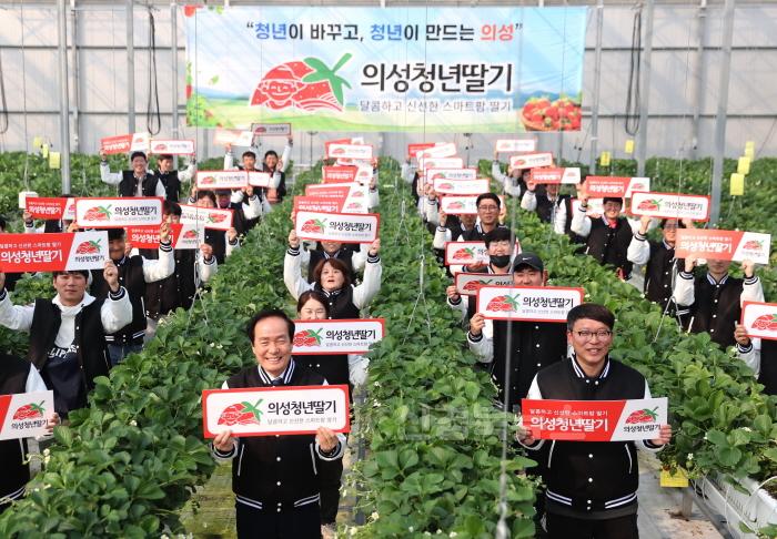 [크기변환]01의성군제공 스마트팜딸기2_6110.jpg