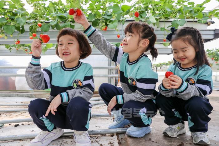 [크기변환]01의성군제공 스마트팜 딸기4754.jpg