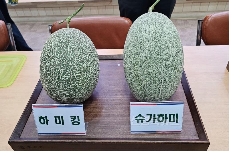 [기술개발과]하미과 사진 1.jpg