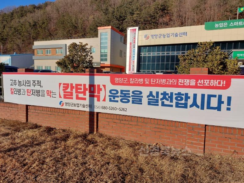2-3 칼탄막운동.jpg