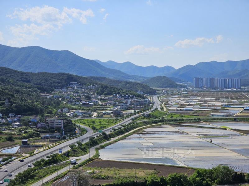 2-2. 경주시 신당교차로·금장교차로에 도시숲 조성_02.jpg