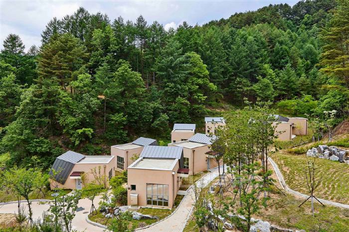[크기변환]산림관광활성화(금강송에코리움).png