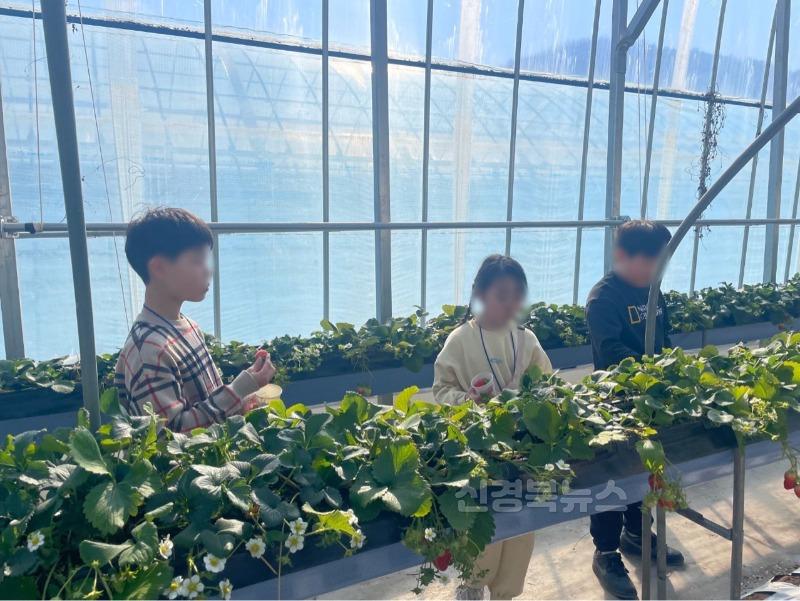 성주군사진(2025년 청소년방과후아카데미&문화의집 특별체험활동)-2.jpg