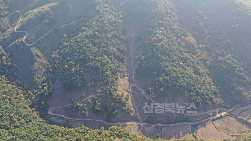 03의성군제공 벌채작업지 목재생산2.jpg