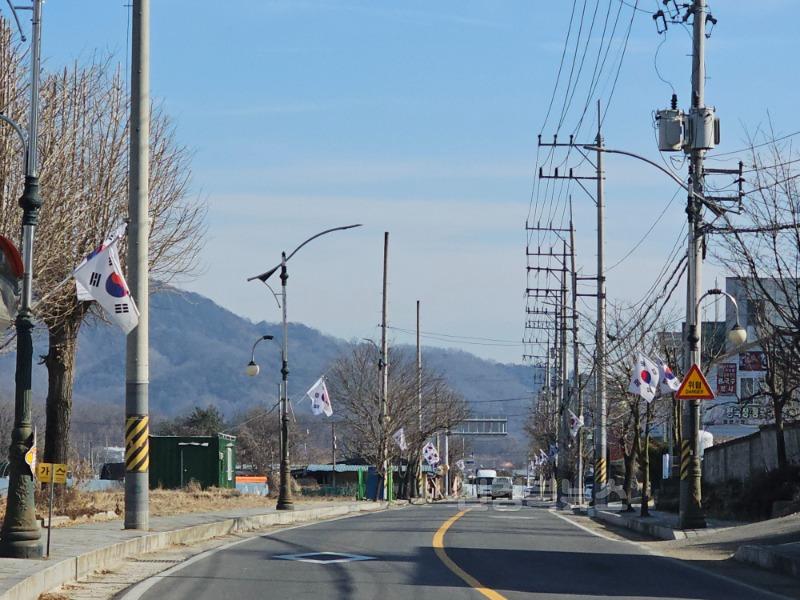 성주군사진(월항면 3.1절 맞이 나라사랑 태극기 달기 운동 추진).jpg