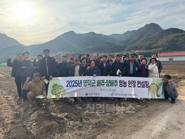 3_영덕군, 농촌진흥청과 배추·양배추 품질 고급화 추진.jpg