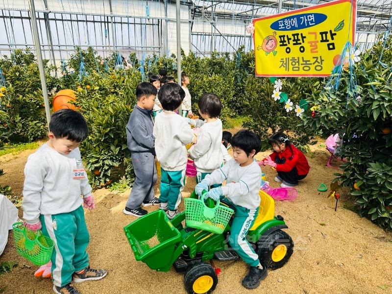 [포항장량유]천혜향 수확체험-2.jpg