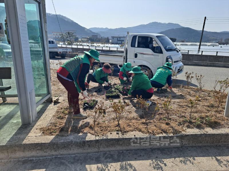 성주군사진(성주읍 새마을회 봄맞이 꽃밭 조성).jpg