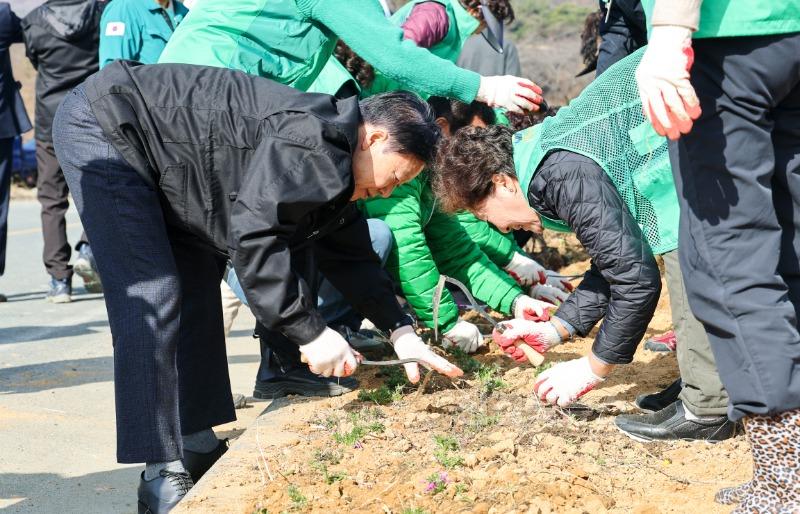 성주군사진(성주읍 새마을회 봄맞이 꽃밭 조성)-2.jpg