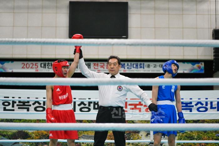 [크기변환]영주-1-5 대한복싱협회장배 전국종별 복싱대회 고등부 경기가 진행중이다.jpg
