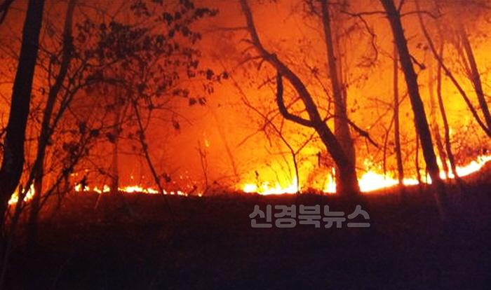 [크기변환]0324 안동시  산불 발생 시 가해자 엄중처벌 예정.jpg