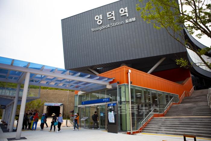 [크기변환]1_영덕군  관광교통 촉진 공모 선정 국비 포함 8억원 확보.JPG