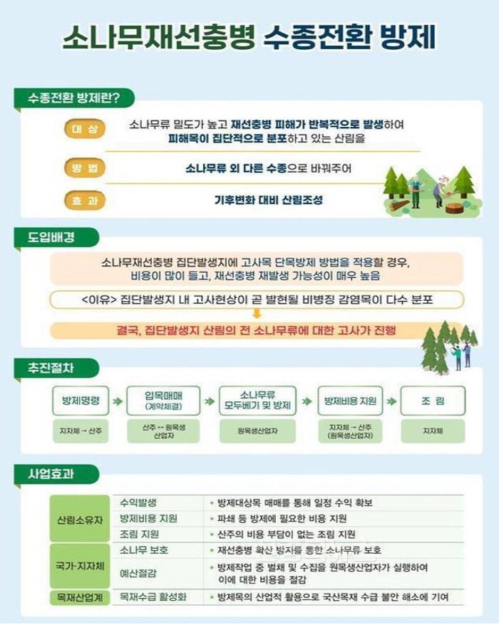 [크기변환]0325 소나무재선충병 극복 위한 ‘수종 전환 방제’ 본격 추진 (1).jpg
