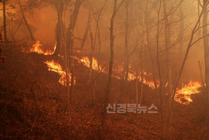 [크기변환]0326 권기창 안동시장, 산불확산에 대한 입장 발표 (2).JPG