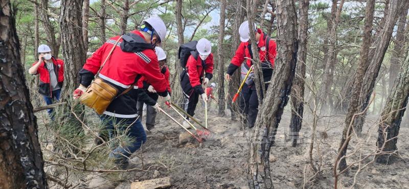 27일 오전 잔불 정리 중인 달성군 공무원 (1).jpg
