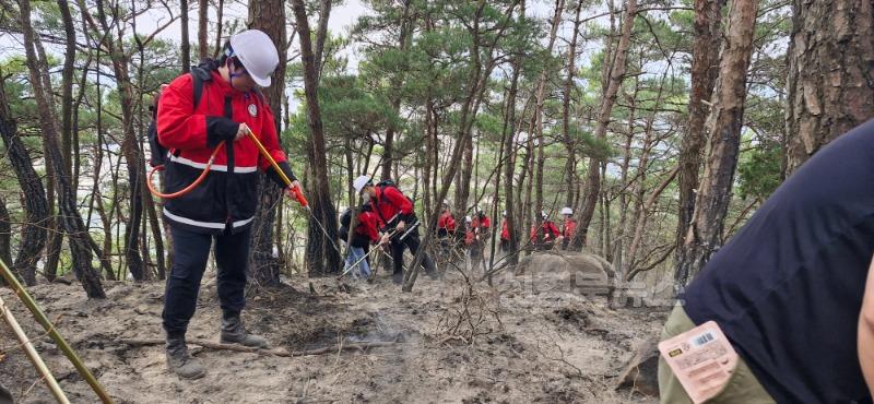 27일 오전 잔불 정리 중인 달성군 공무원 (2).jpg