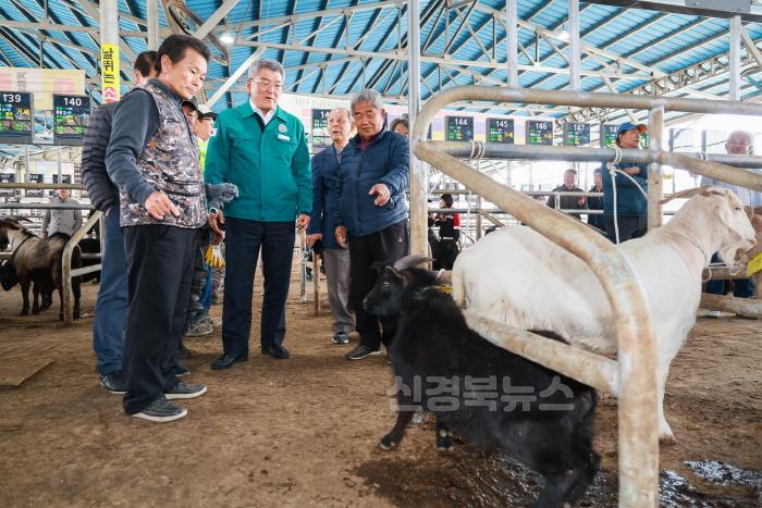 [크기변환](예천군)예천축협 가축시장에 염소 경매시장 개장 (2).JPG