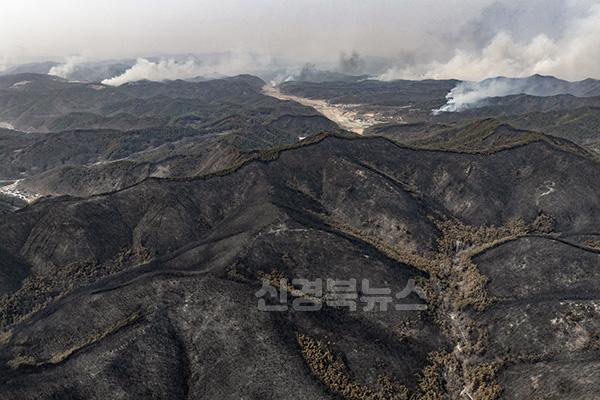 산불사진.2.jpg