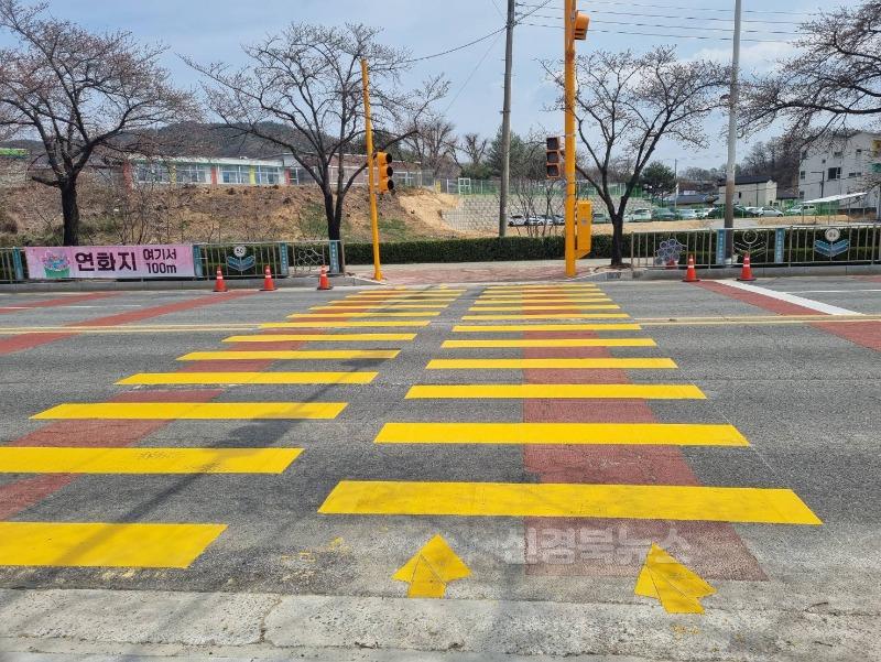 달라진 연화지 벚꽃, 내년이 더 기대된다-관광진흥과(사진8).jpg