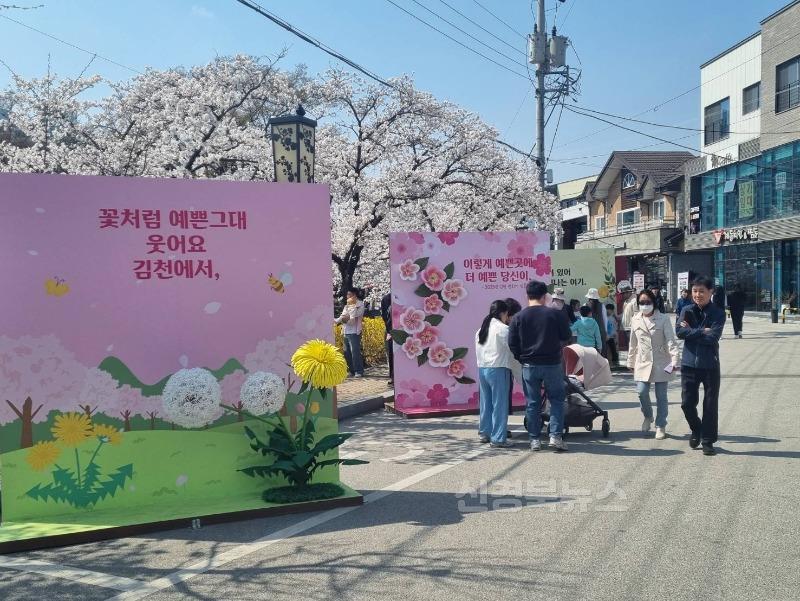 달라진 연화지 벚꽃, 내년이 더 기대된다-관광진흥과(사진6).jpg