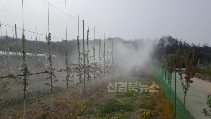 [크기변환]영주-1-3 (참고사진)화상병 방제 약품 살포모습.jpg