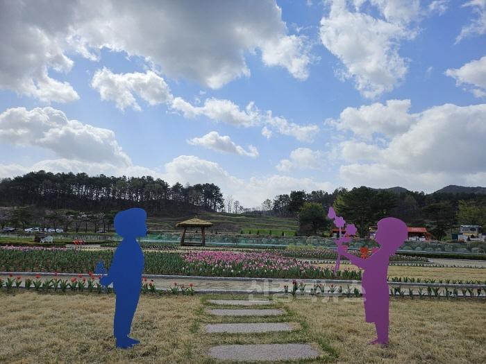 [크기변환](예천군)2025년 육지속의 섬 회룡포에 찾아온 봄 (3).jpg