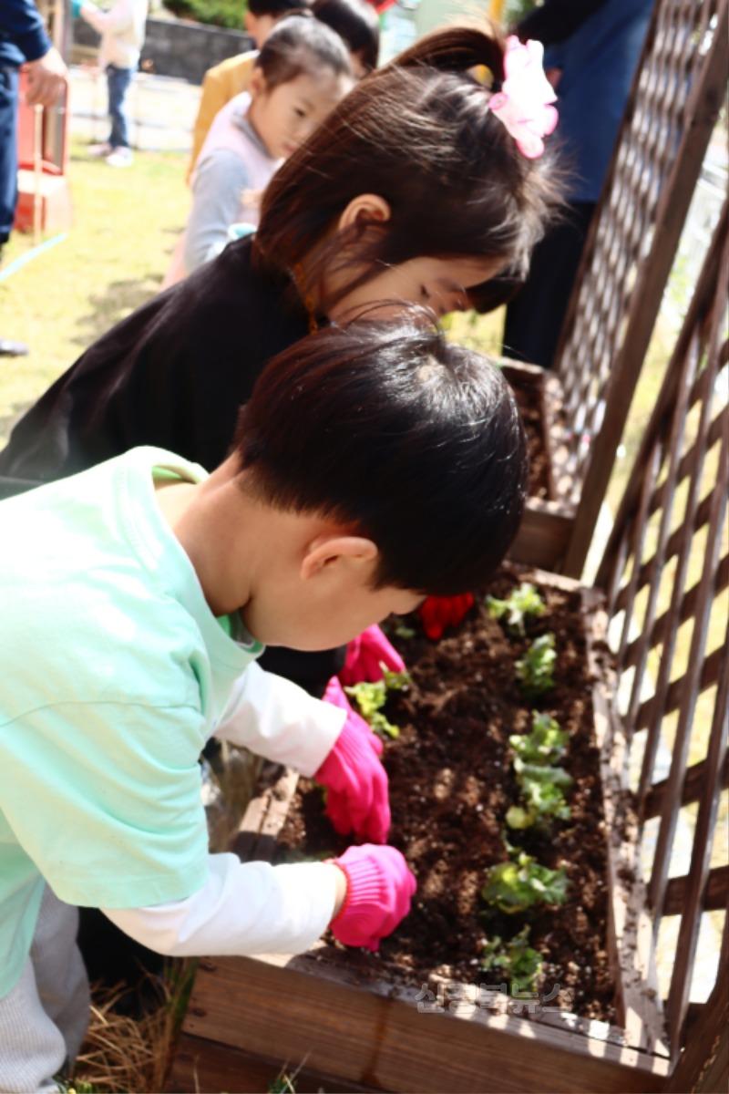 [단샘유] 봄 채소 심기, 도닥도닥 고사리 손으로 채소를 심어요 (1).jpg