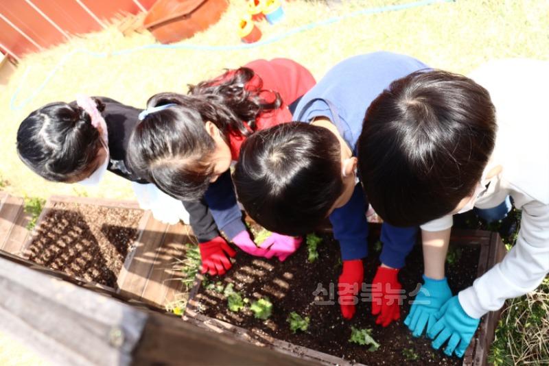 [단샘유] 봄 채소 심기, 도닥도닥 고사리 손으로 채소를 심어요 (3).jpg