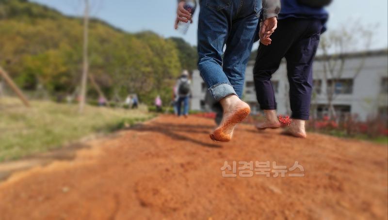 청도우리정신문화재단) 맨발걷기길 홍보관련3.jpg