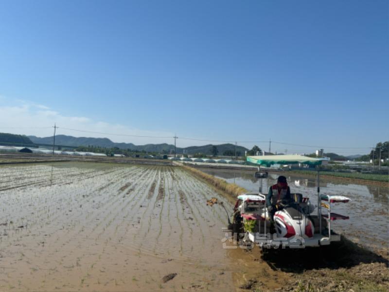 04.28-추가3 보도자료 (대가야읍 첫 모내기 실시)(1).jpg