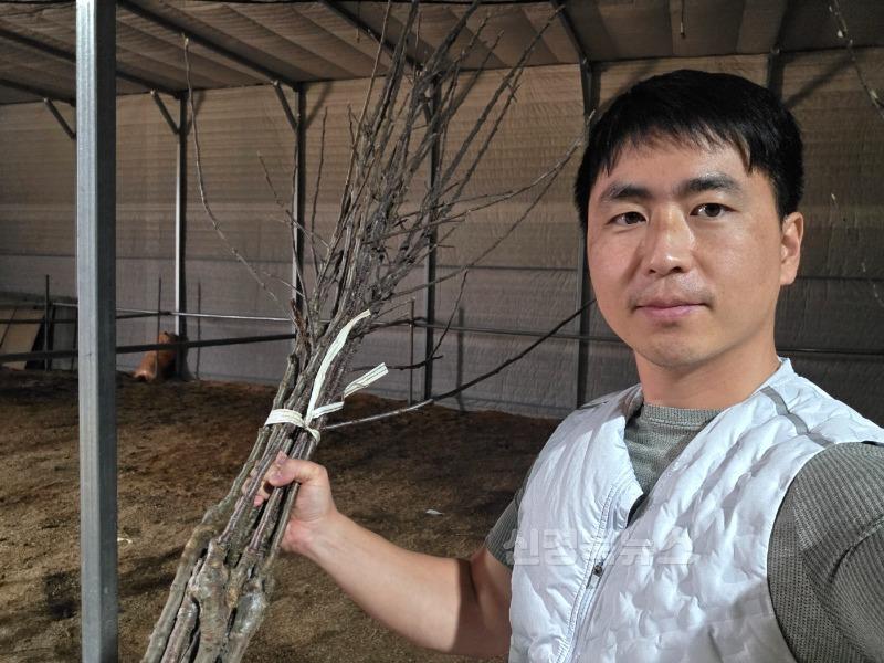 영주-10 영주시 4-H연합회 정도영 회원, 산불 피해 지역에 총 1800주의 사과 묘목 기부했다(정도영 회원 사진).jpg