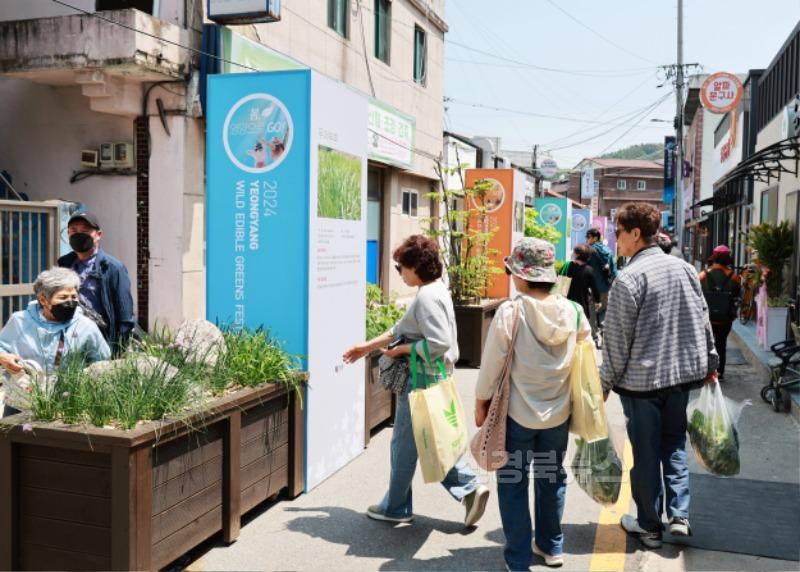 1-5 사진(여러분의 방문이 영양군의 치유가 됩니다).jpg