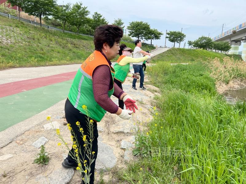 자산동, 직지천변 정화 행사 실시-자산동(사진2).jpg