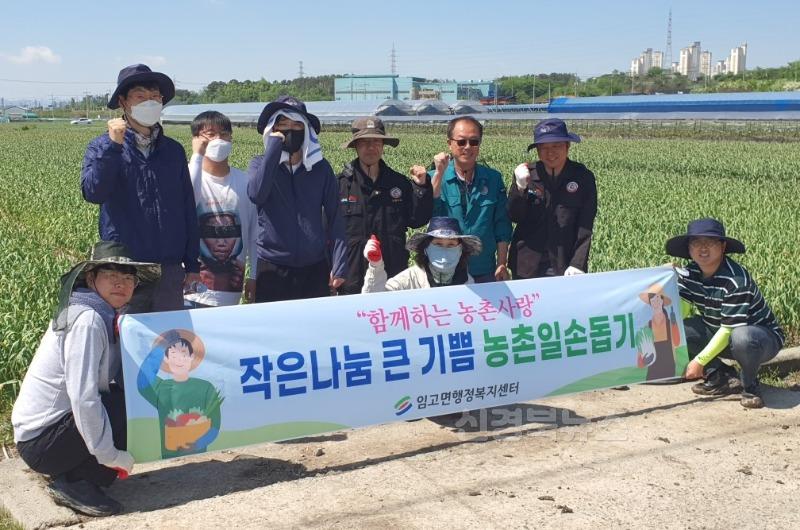 6 [사진] 영천시 임고면, 마늘밭에 ‘희망의 땀방울’ 뿌리다 (2).jpeg