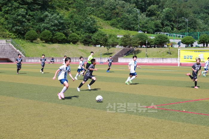[크기변환]지난 2023년 백암온천배 전국 유소년 축구대회 경기 모습.JPG