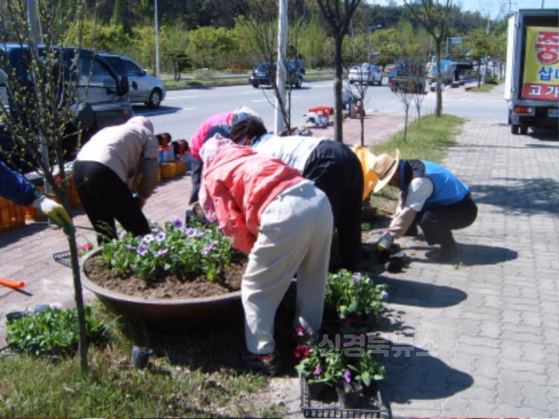 영주-3-2 영주시, 하반기 공공일자리사업 참여자 55명 모집(공공일자리 참여자들이 도로변 꽃길을 조성하고 있다).jpg