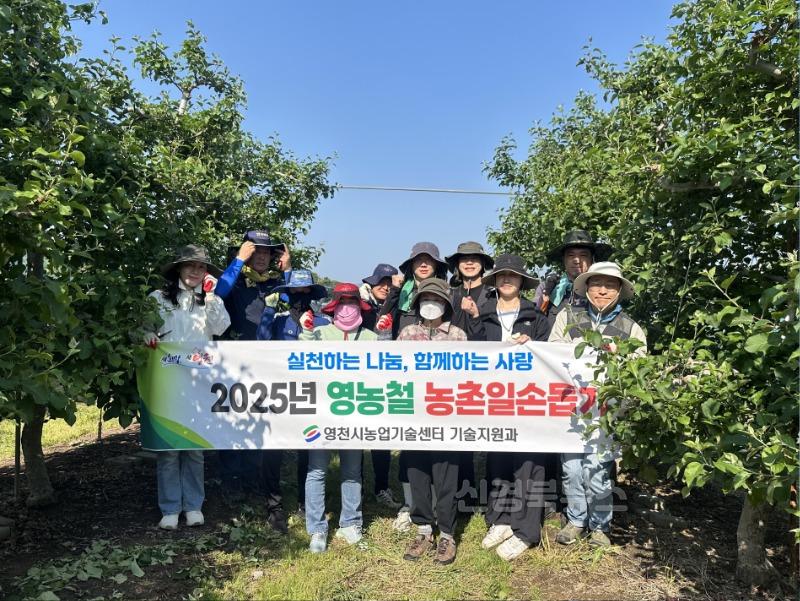 5 [사진] 영천시 기술지원과, 농촌일손돕기 구슬땀.jpg