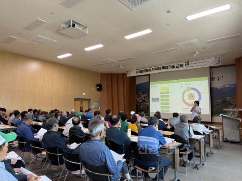 영주-7-2 영주시, 부석태 콩 산업화 시동... 재배기술 교육 및 설명회가 진행되고 있다.jpg