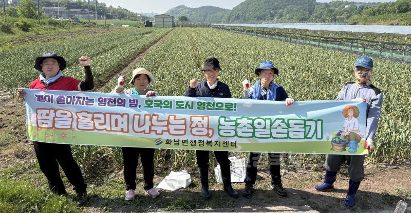 15 [사진] 영천시 화남면, 농촌일손돕기 나서.jpg