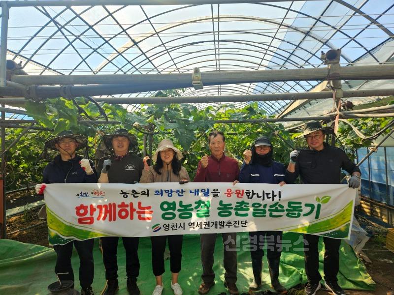 12 [사진] 영천시 역세권개발추진단, 영농철 농촌일손돕기 추진.jpeg