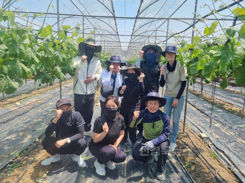 평화남산동  농촌에 따뜻한 손길 보태다!-평화남산동(사진1).jpg