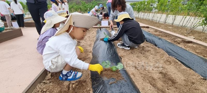 3-2_영덕군농업기술센터, ‘어린이 농부학교’ 개강.jpg