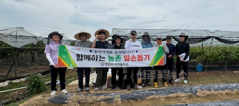 5 [사진] “농촌과 함께합니다” 영천시 지역활력과, 농촌일손돕기 나서.JPG