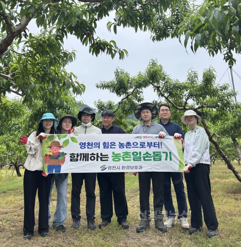 6 [사진] 영천시 환경보호과, 영농철 일손 부족 농가 돕기에 ‘온 힘’ (2).jpg