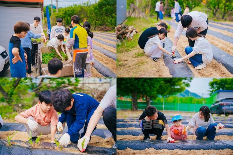 들꽃네 텃밭 가꾸기.jpg