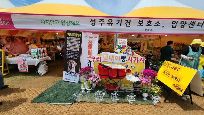 성주군사진(2025년 강아지도 행복한 성주참외&생명문화축제 반려견 무료진료 성황리에 마쳐!).jpg
