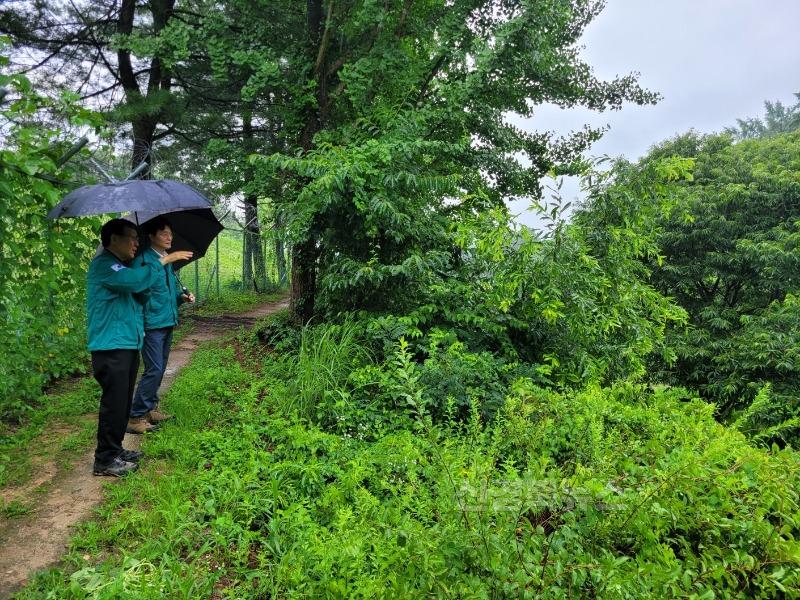 영주-1-2 (참고사진-지난해)산사태 취약지역 점검 모습(오른쪽 이재훈 부시장, 왼쪽 금두섭 산림과장).jpg
